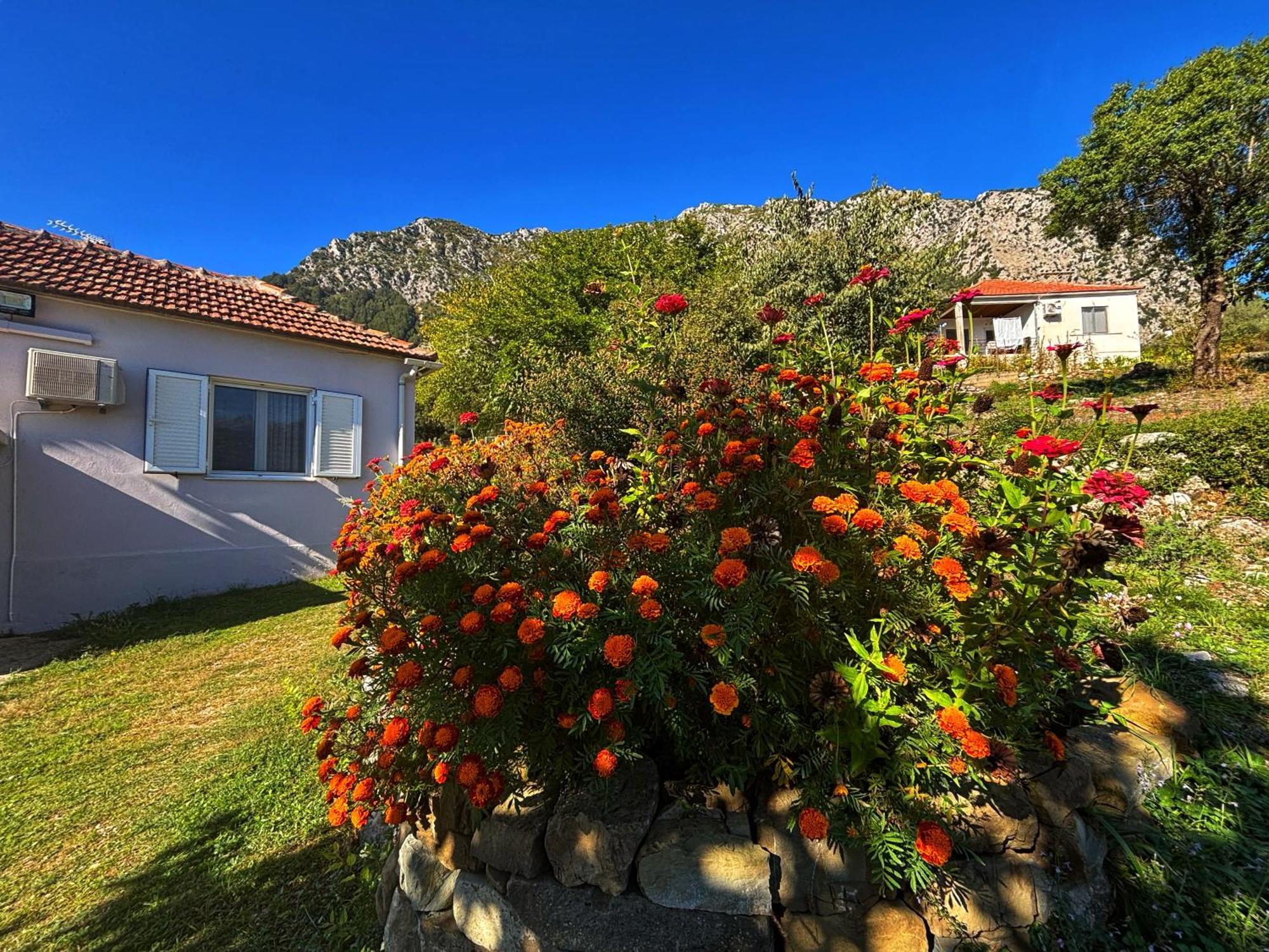 Georgaras Accommodation Platanoussa Exterior foto